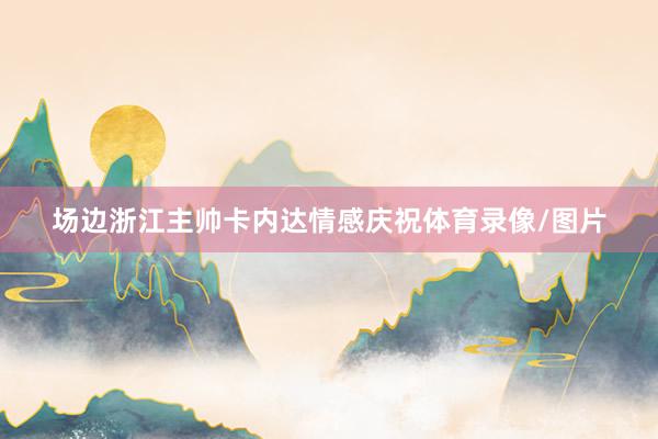 场边浙江主帅卡内达情感庆祝体育录像/图片