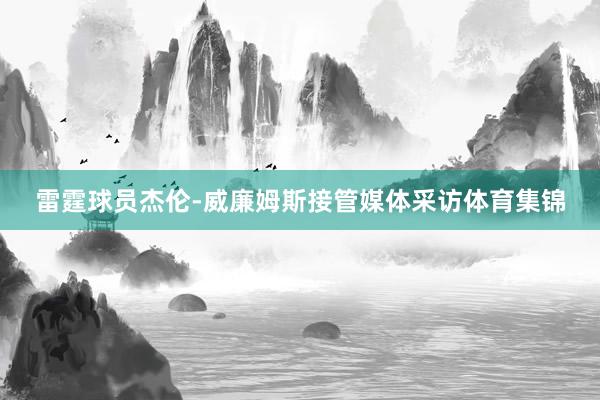 雷霆球员杰伦-威廉姆斯接管媒体采访体育集锦