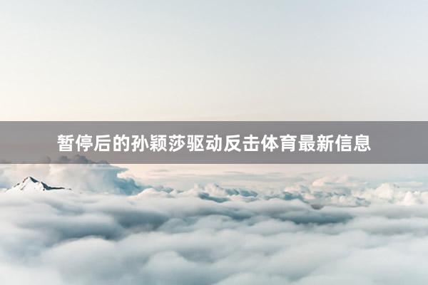 暂停后的孙颖莎驱动反击体育最新信息