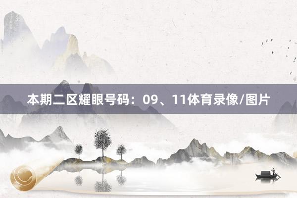 本期二区耀眼号码：09、11体育录像/图片