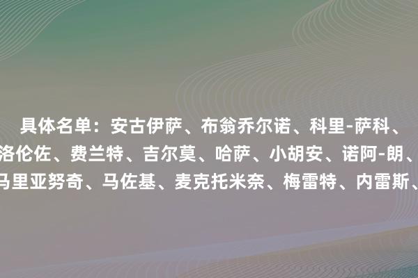 具体名单：安古伊萨、布翁乔尔诺、科里-萨科、孔蒂尼、德布劳内、迪洛伦佐、费兰特、吉尔莫、哈萨、小胡安、诺阿-朗、洛博特卡、卢卡库、马里亚努奇、马佐基、麦克托米奈、梅雷特、内雷斯、奥巴瑞汀、M-奥利维拉、波利塔诺、拉斯帕多里、拉赫马尼、斯加尔比、小西蒙尼、斯皮纳佐拉、图里、维尔加拉、扎诺利、泽尔宾体育集锦