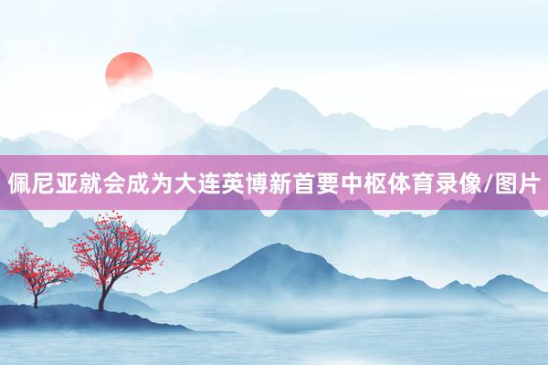 佩尼亚就会成为大连英博新首要中枢体育录像/图片