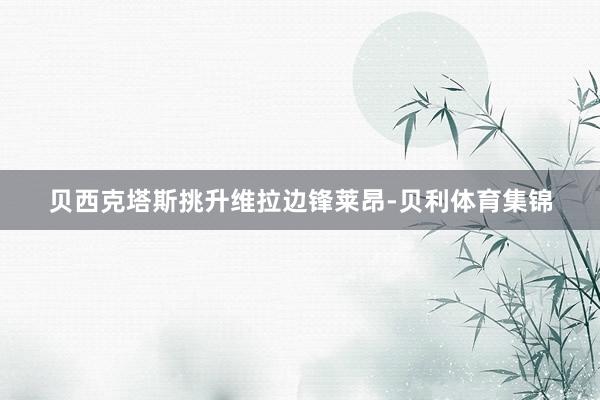 贝西克塔斯挑升维拉边锋莱昂-贝利体育集锦