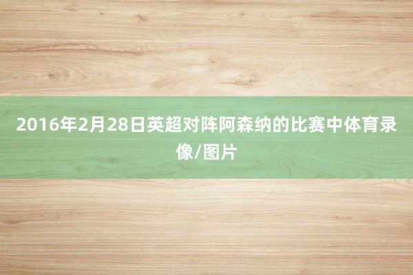 2016年2月28日英超对阵阿森纳的比赛中体育录像/图片