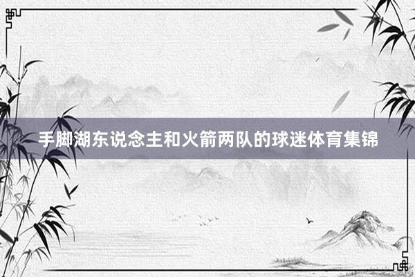 手脚湖东说念主和火箭两队的球迷体育集锦
