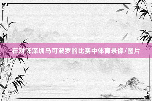 在对阵深圳马可波罗的比赛中体育录像/图片