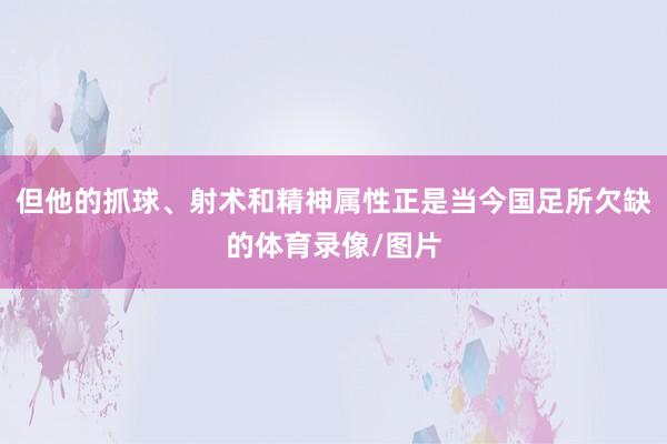 但他的抓球、射术和精神属性正是当今国足所欠缺的体育录像/图片