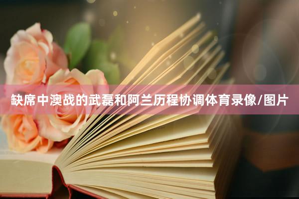 缺席中澳战的武磊和阿兰历程协调体育录像/图片