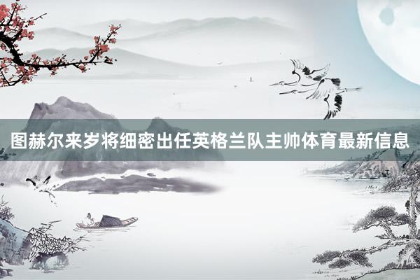 图赫尔来岁将细密出任英格兰队主帅体育最新信息