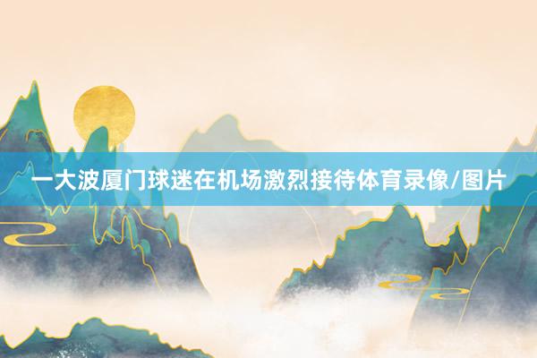 一大波厦门球迷在机场激烈接待体育录像/图片