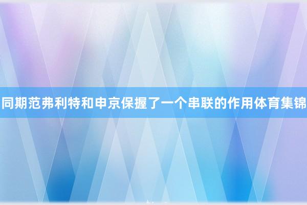 同期范弗利特和申京保握了一个串联的作用体育集锦