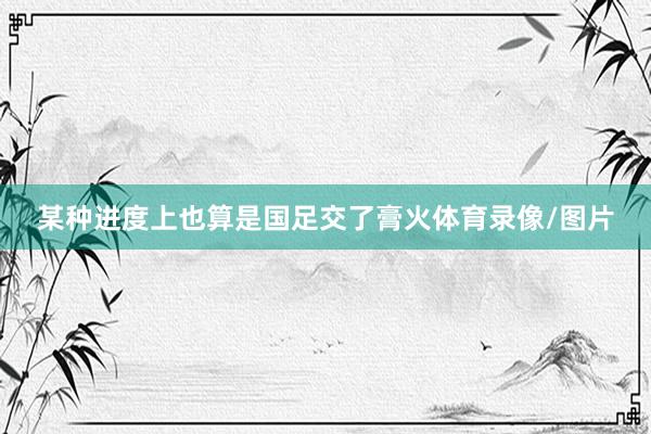 某种进度上也算是国足交了膏火体育录像/图片