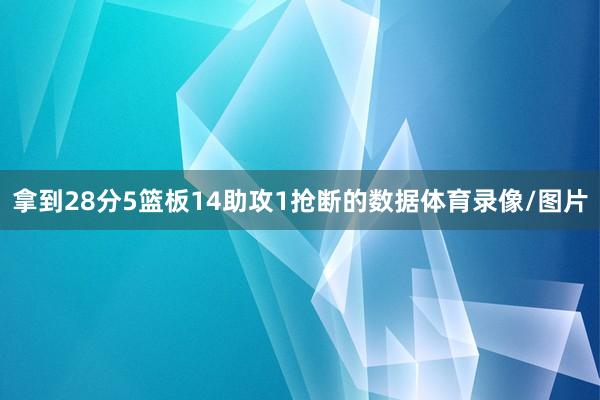 拿到28分5篮板14助攻1抢断的数据体育录像/图片