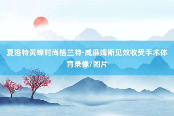 夏洛特黄蜂时尚格兰特·威廉姆斯见效收受手术体育录像/图片