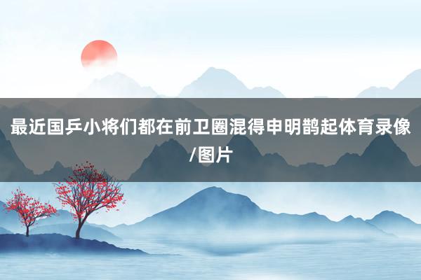 最近国乒小将们都在前卫圈混得申明鹊起体育录像/图片