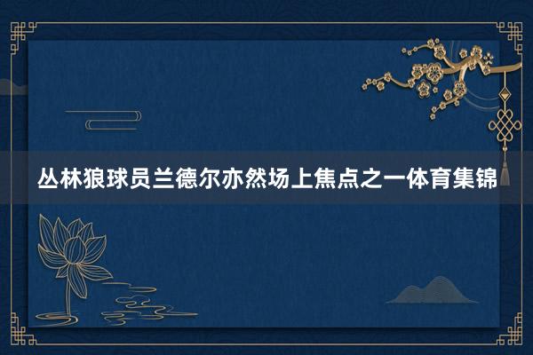 丛林狼球员兰德尔亦然场上焦点之一体育集锦
