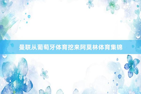 曼联从葡萄牙体育挖来阿莫林体育集锦