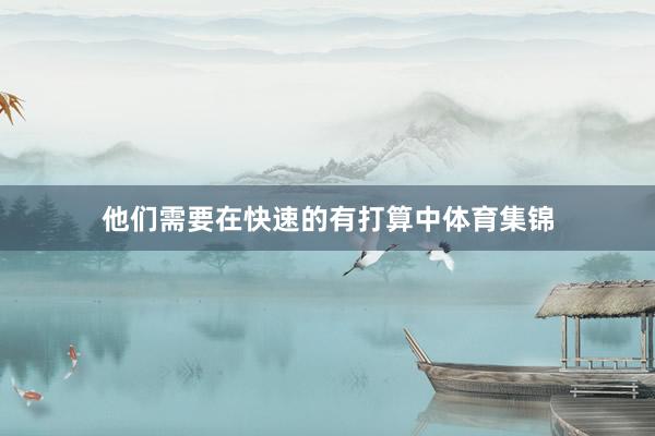 他们需要在快速的有打算中体育集锦
