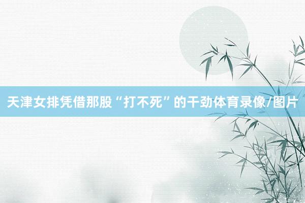 天津女排凭借那股“打不死”的干劲体育录像/图片