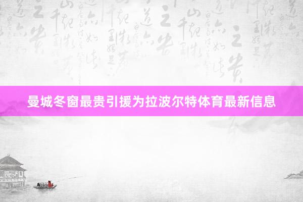 曼城冬窗最贵引援为拉波尔特体育最新信息
