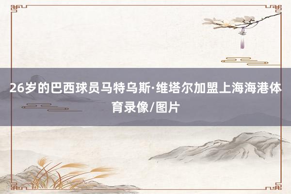 26岁的巴西球员马特乌斯·维塔尔加盟上海海港体育录像/图片