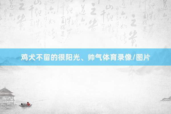 鸡犬不留的很阳光、帅气体育录像/图片