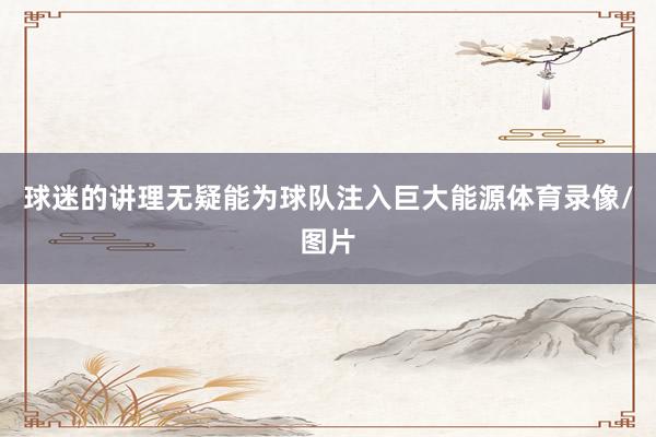 球迷的讲理无疑能为球队注入巨大能源体育录像/图片