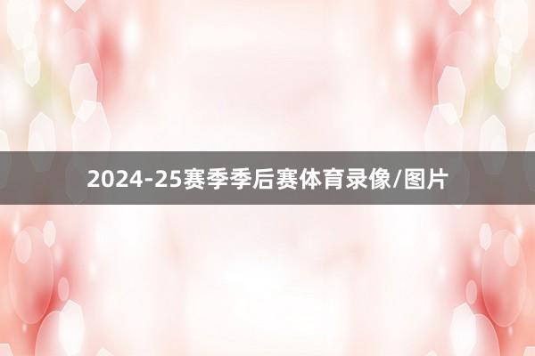 2024-25赛季季后赛体育录像/图片