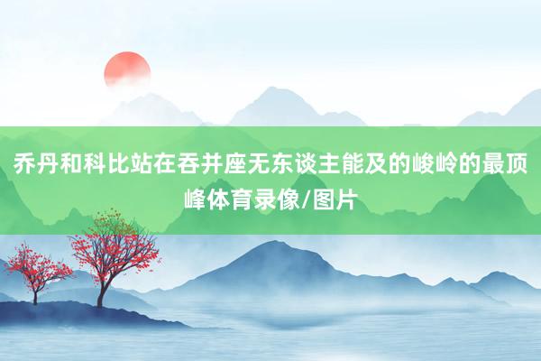乔丹和科比站在吞并座无东谈主能及的峻岭的最顶峰体育录像/图片