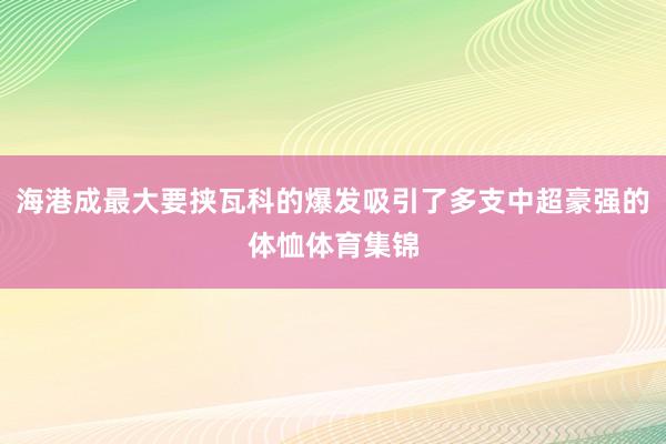海港成最大要挟瓦科的爆发吸引了多支中超豪强的体恤体育集锦