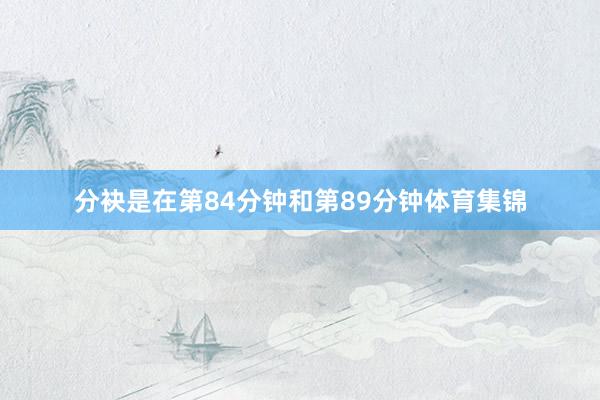 分袂是在第84分钟和第89分钟体育集锦