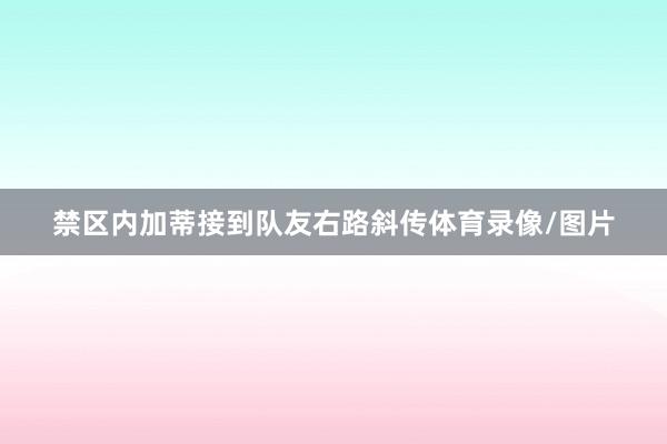 禁区内加蒂接到队友右路斜传体育录像/图片