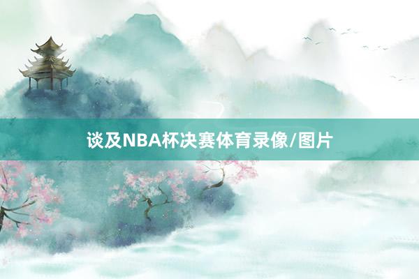 谈及NBA杯决赛体育录像/图片