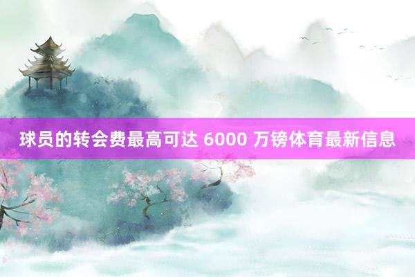 球员的转会费最高可达 6000 万镑体育最新信息